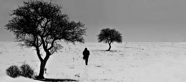 her yer delik sen hempa