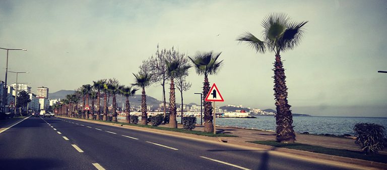 adım üstünde martı