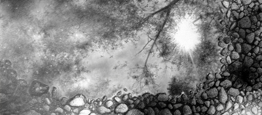 MUZ SESLERİ DİLEMMASI